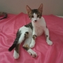 Other - Фото: 1