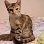 Other - Фото: 3
